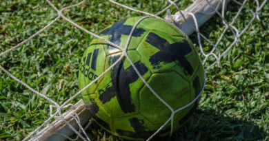 Équipe de France : Zidane, le successeur que tout le monde attendait