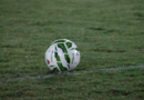 L&rsquo;Inde et la Chine, trop mauvais au football ?